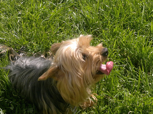 med_Rocky - Bandscheibenvorfall.jpg (600 x 450)